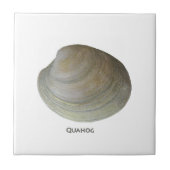 Carreau Palourde de clam (Devant)