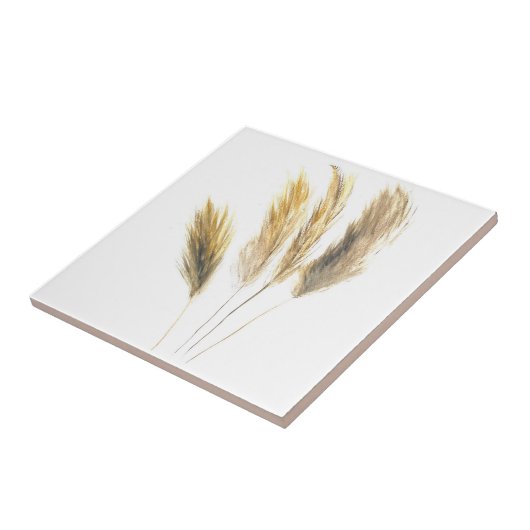 Carreau Pampas Grass Aquarelle botanique Boho (Côté)