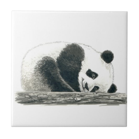 Carreau Panda (Devant)