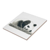 Carreau Panda (Côté)