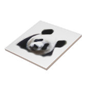 Carreau Panda (Côté)