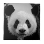 Carreau Panda (Devant)