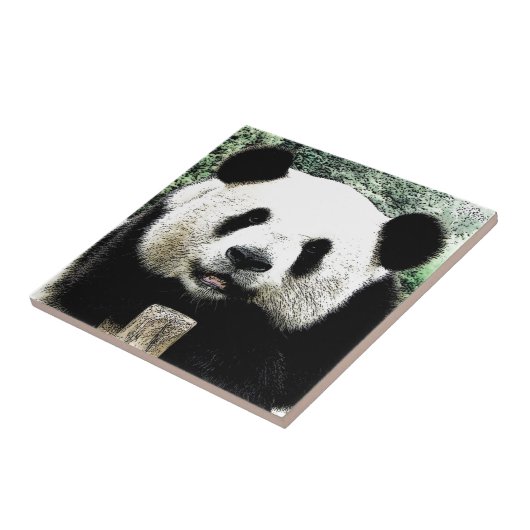 Carreau Panda (Côté)