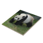 Carreau panda114 (Côté)