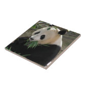 Carreau Panda Bear Hugs (Côté)