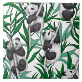 Carreau Panda cubs on (Devant)