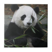 Carreau Panda géant (Devant)