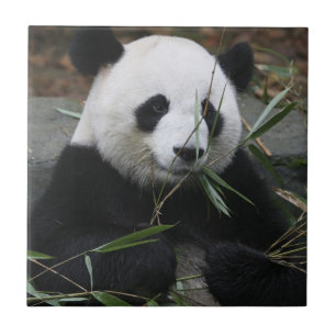 Carreau Panda géant