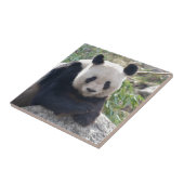 Carreau Panda Géant Amical (Côté)
