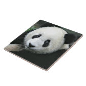 Carreau Panda géant se reposant dans une prairie verte (Côté)