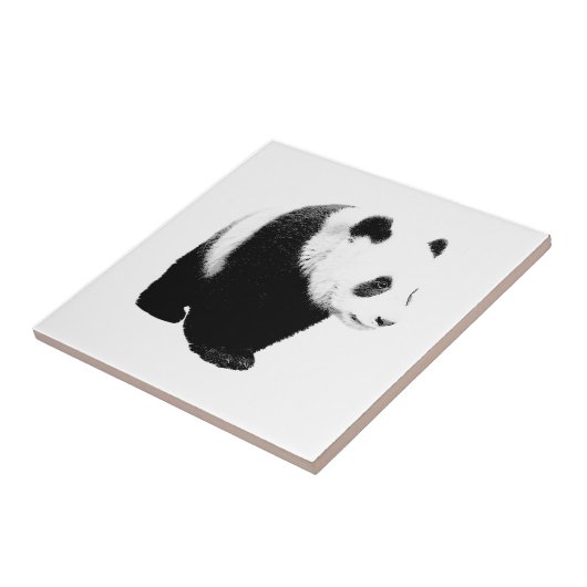 Carreau Panda noir et blanc (Côté)