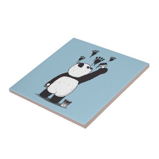 Carreau Pandalisme (Côté)