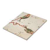 Carreau Panneau "Zodia" : Pisces" en céramique (Côté)