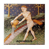 Carreau Panneau Zodiac du porteur d'eau Aquarius Fête d'an (Devant)