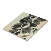 Carreau Panneaux vierges IV (Côté)