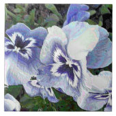 CARREAU PANSIERS (Devant)