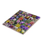 Carreau Pansies (Côté)