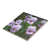 Carreau Pansies (Côté)