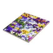 Carreau Pansies (Côté)