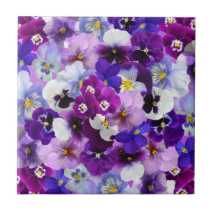 Carreau Pansies Colorées, Jolies Fleurs,