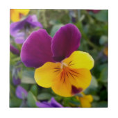 Carreau Pansies lumineuses (Devant)