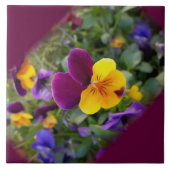 Carreau Pansies lumineuses (Devant)