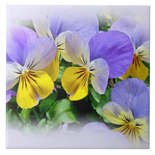 Carreau Pansies - violet et jaune (Devant)