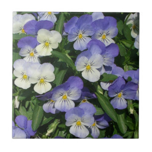 Carreau Pansies violettes Jardin Floral