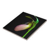 Carreau pantoufle de dame rose (Côté)