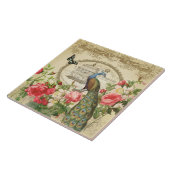 Carreau Paon chic minable français vintage (Côté)