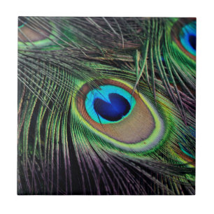 Carreau Paon d'oiseau de paon