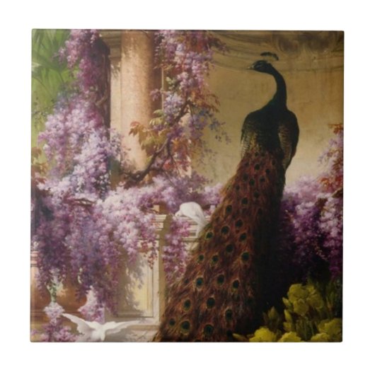 Carreau Paon vintage (Devant)