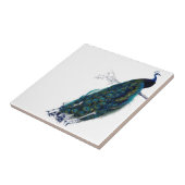 Carreau Paon vintage (Côté)