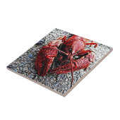 Carreau Papa de lob (Côté)