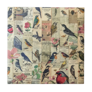 Carreau Papier Journal Papillon Oiseau Botanique Vintage