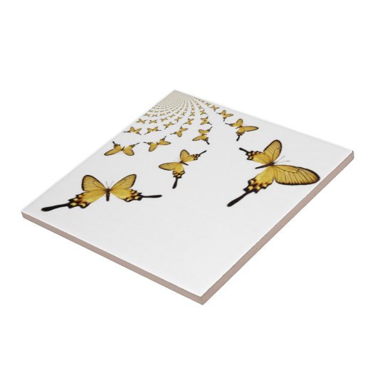 Carreau Papillon (Côté)