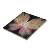 Carreau Papillon (Côté)