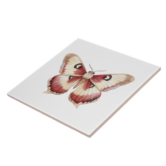 Carreau Papillon à crème bourguignonne (Côté)