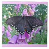 Carreau Papillon à épicéa sur gants de boeuf (Devant)