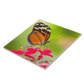 Carreau Papillon à longue aile sur une fleur rouge (Côté)