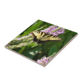 Carreau Papillon à queue d'hirondelle sur des fleurs sauva (Côté)