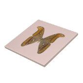 Carreau Papillon atlas (Côté)