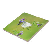 Carreau Papillon Blanc à Veines Vertes (Côté)