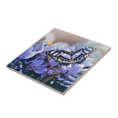 Carreau Papillon bleu (Côté)