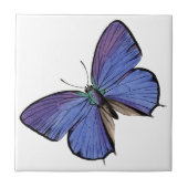 Carreau Papillon bleu (Devant)