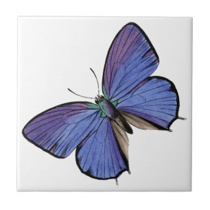 Carreau Papillon bleu