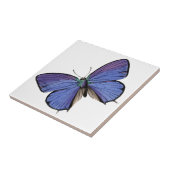 Carreau Papillon bleu (Côté)