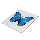 Carreau Papillon bleu (Côté)