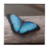 Carreau Papillon bleu de Morpho (Devant)