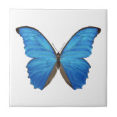 Carreau Papillon bleu de Morpho (Devant)